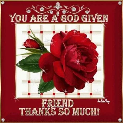 A God-Given Friendship: Messages of Gratitude