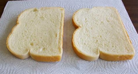 The Ultimate Guide to the Wish Sandwich: 50+ Creative Messages for Friends & Family