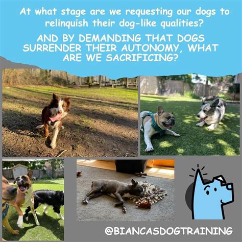 Celebrating Their Best "Dog-like" Qualities
