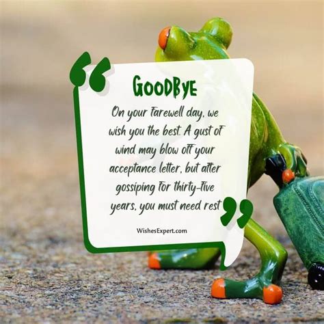 Funny & Heartfelt Messages for Those Silly Selfies