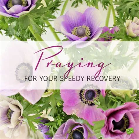 Get Well & Restore Your HP (Healing & Recovery Wishes)