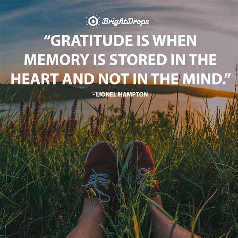 Messages of Gratitude for the Time We Had
