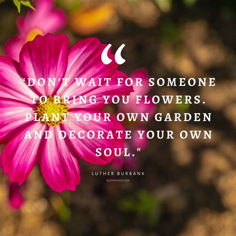 Messages That Bloom with Happiness