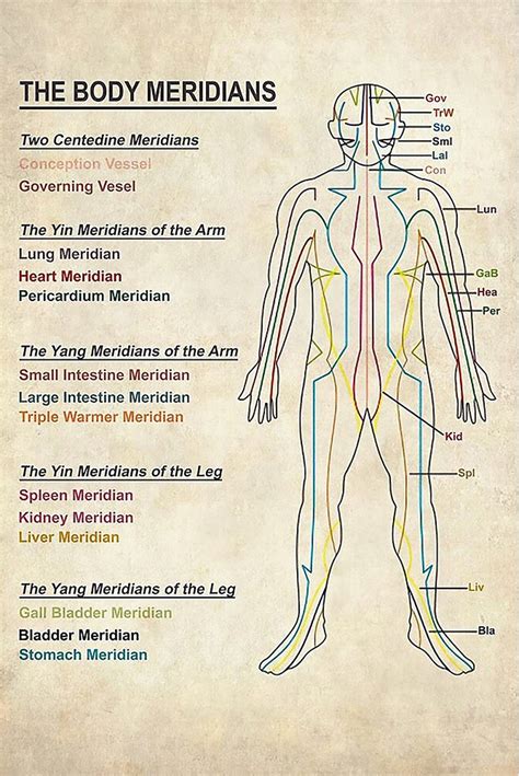 The Body's Journey: Honest Truths About Physical Recovery