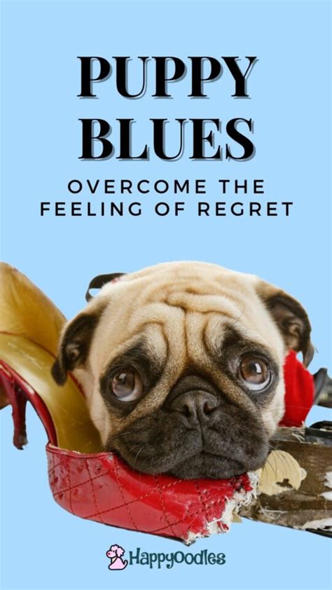 When the 'Puppy Blues' and Regret Feel All-Consuming