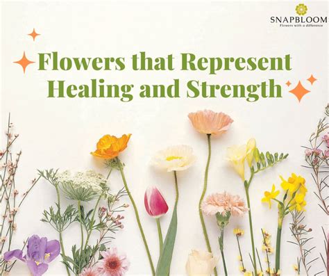 Wishes for Strength, Resilience, and Gentle Healing