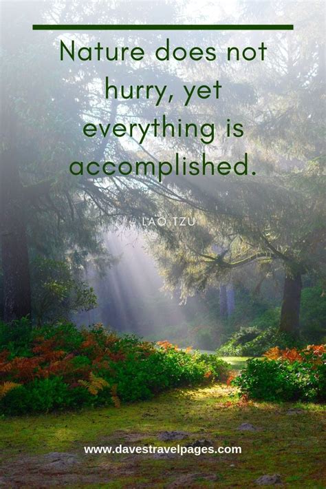 Wishes Inspired by Nature's Wisdom